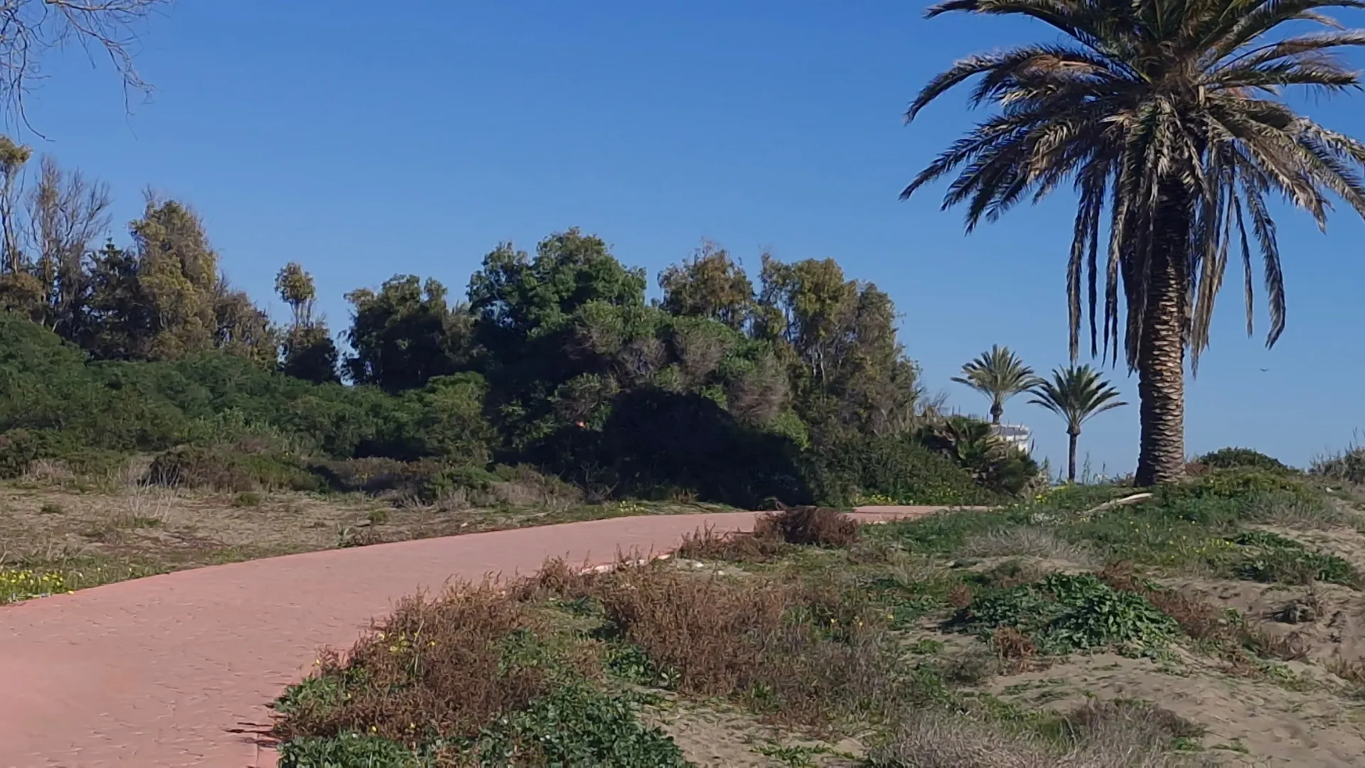 resizecom_beach3